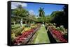 Nevis Botanical Garden, Nevis, St. Kitts and Nevis-Robert Harding-Framed Stretched Canvas