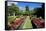 Nevis Botanical Garden, Nevis, St. Kitts and Nevis-Robert Harding-Framed Stretched Canvas