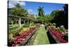 Nevis Botanical Garden, Nevis, St. Kitts and Nevis-Robert Harding-Stretched Canvas