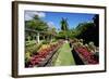 Nevis Botanical Garden, Nevis, St. Kitts and Nevis-Robert Harding-Framed Photographic Print