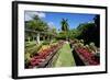 Nevis Botanical Garden, Nevis, St. Kitts and Nevis-Robert Harding-Framed Photographic Print