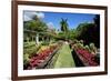 Nevis Botanical Garden, Nevis, St. Kitts and Nevis-Robert Harding-Framed Photographic Print