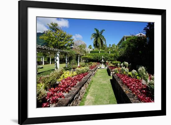 Nevis Botanical Garden, Nevis, St. Kitts and Nevis-Robert Harding-Framed Photographic Print