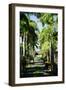 Nevis Botanical Garden, Nevis, St. Kitts and Nevis-Robert Harding-Framed Photographic Print