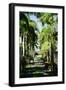 Nevis Botanical Garden, Nevis, St. Kitts and Nevis-Robert Harding-Framed Photographic Print