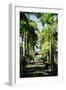 Nevis Botanical Garden, Nevis, St. Kitts and Nevis-Robert Harding-Framed Photographic Print