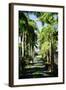 Nevis Botanical Garden, Nevis, St. Kitts and Nevis-Robert Harding-Framed Photographic Print