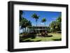 Nevis Botanical Garden, Nevis, St. Kitts and Nevis-Robert Harding-Framed Photographic Print