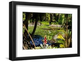 Nevis Botanical Garden, Nevis, St. Kitts and Nevis-Robert Harding-Framed Photographic Print