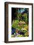 Nevis Botanical Garden, Nevis, St. Kitts and Nevis-Robert Harding-Framed Photographic Print