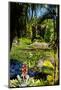 Nevis Botanical Garden, Nevis, St. Kitts and Nevis-Robert Harding-Mounted Photographic Print