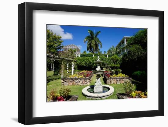 Nevis Botanical Garden, Nevis, St. Kitts and Nevis-Robert Harding-Framed Photographic Print