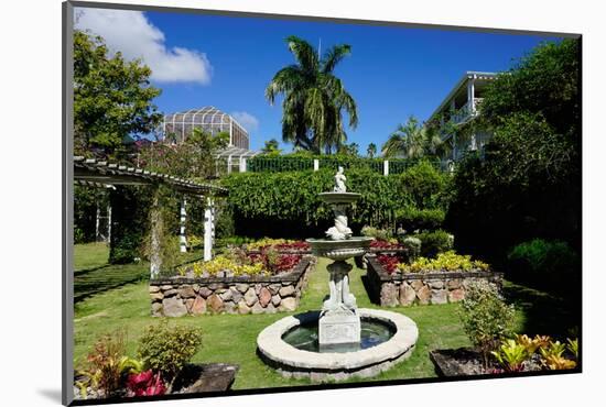 Nevis Botanical Garden, Nevis, St. Kitts and Nevis-Robert Harding-Mounted Photographic Print