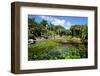 Nevis Botanical Garden, Nevis, St. Kitts and Nevis-Robert Harding-Framed Photographic Print