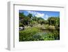 Nevis Botanical Garden, Nevis, St. Kitts and Nevis-Robert Harding-Framed Photographic Print