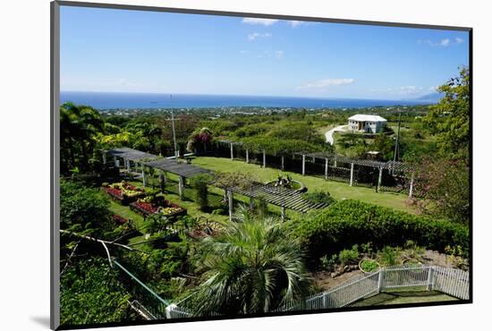 Nevis Botanical Garden, Nevis, St. Kitts and Nevis-Robert Harding-Mounted Photographic Print