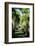 Nevis Botanical Garden, Nevis, St. Kitts and Nevis-Robert Harding-Framed Photographic Print