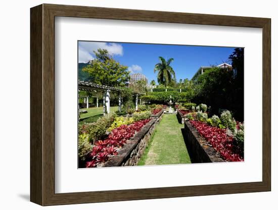 Nevis Botanical Garden, Nevis, St. Kitts and Nevis-Robert Harding-Framed Photographic Print