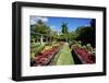 Nevis Botanical Garden, Nevis, St. Kitts and Nevis-Robert Harding-Framed Photographic Print