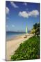 Nevis, St. Kitts and Nevis, Leeward Islands, West Indies, Caribbean, Central America-Robert Harding-Mounted Photographic Print