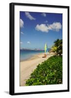 Nevis, St. Kitts and Nevis, Leeward Islands, West Indies, Caribbean, Central America-Robert Harding-Framed Photographic Print