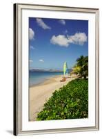 Nevis, St. Kitts and Nevis, Leeward Islands, West Indies, Caribbean, Central America-Robert Harding-Framed Photographic Print