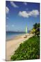 Nevis, St. Kitts and Nevis, Leeward Islands, West Indies, Caribbean, Central America-Robert Harding-Mounted Photographic Print