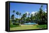 Nevis, St. Kitts and Nevis, Leeward Islands, West Indies, Caribbean, Central America-Robert Harding-Framed Stretched Canvas