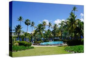 Nevis, St. Kitts and Nevis, Leeward Islands, West Indies, Caribbean, Central America-Robert Harding-Stretched Canvas