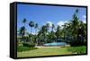 Nevis, St. Kitts and Nevis, Leeward Islands, West Indies, Caribbean, Central America-Robert Harding-Framed Stretched Canvas