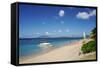 Nevis, St. Kitts and Nevis, Leeward Islands, West Indies, Caribbean, Central America-Robert Harding-Framed Stretched Canvas