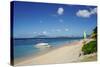 Nevis, St. Kitts and Nevis, Leeward Islands, West Indies, Caribbean, Central America-Robert Harding-Stretched Canvas