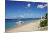 Nevis, St. Kitts and Nevis, Leeward Islands, West Indies, Caribbean, Central America-Robert Harding-Mounted Photographic Print