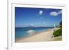 Nevis, St. Kitts and Nevis, Leeward Islands, West Indies, Caribbean, Central America-Robert Harding-Framed Photographic Print