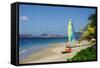 Nevis, St. Kitts and Nevis, Leeward Islands, West Indies, Caribbean, Central America-Robert Harding-Framed Stretched Canvas