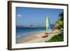 Nevis, St. Kitts and Nevis, Leeward Islands, West Indies, Caribbean, Central America-Robert Harding-Framed Photographic Print