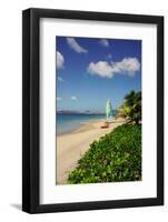 Nevis, St. Kitts and Nevis, Leeward Islands, West Indies, Caribbean, Central America-Robert Harding-Framed Photographic Print