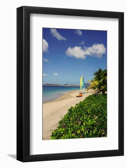 Nevis, St. Kitts and Nevis, Leeward Islands, West Indies, Caribbean, Central America-Robert Harding-Framed Photographic Print