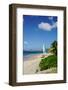 Nevis, St. Kitts and Nevis, Leeward Islands, West Indies, Caribbean, Central America-Robert Harding-Framed Photographic Print