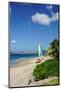 Nevis, St. Kitts and Nevis, Leeward Islands, West Indies, Caribbean, Central America-Robert Harding-Mounted Photographic Print