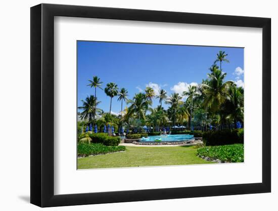 Nevis, St. Kitts and Nevis, Leeward Islands, West Indies, Caribbean, Central America-Robert Harding-Framed Photographic Print