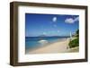 Nevis, St. Kitts and Nevis, Leeward Islands, West Indies, Caribbean, Central America-Robert Harding-Framed Photographic Print