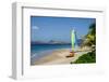 Nevis, St. Kitts and Nevis, Leeward Islands, West Indies, Caribbean, Central America-Robert Harding-Framed Photographic Print