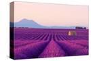 Stretched Canvas