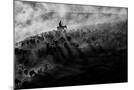 Wood Mount