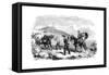 New Ambulance Transport Service, 1855-null-Framed Stretched Canvas