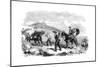 New Ambulance Transport Service, 1855-null-Mounted Giclee Print