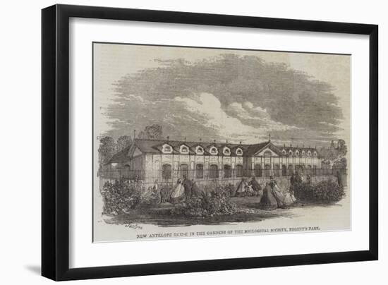 New Antelope House in the Gardens of the Zoological Society, Regent's Park-Percy William Justyne-Framed Giclee Print