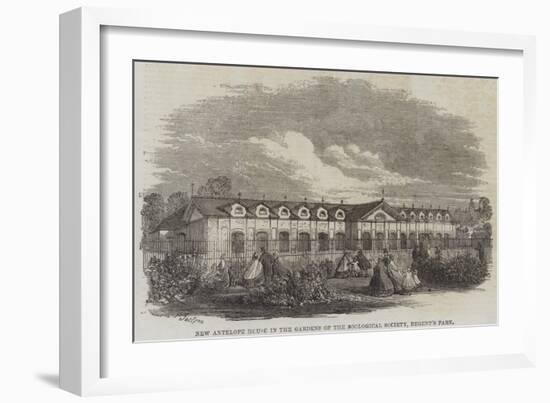 New Antelope House in the Gardens of the Zoological Society, Regent's Park-Percy William Justyne-Framed Giclee Print