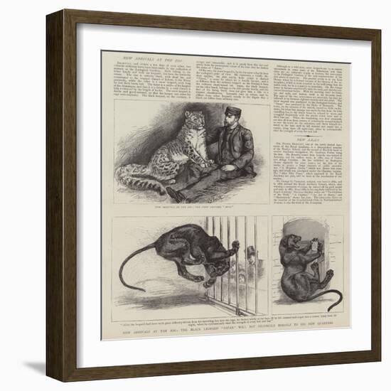 New Arrivals at the Zoo-null-Framed Giclee Print